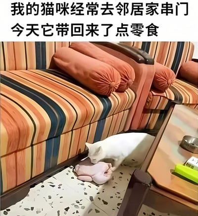 图片上方有两行黑色文字：'我的猫咪经常去邻居家串门 今天它带回来了点零食'。下方是一张实拍照片，画面中一只白色猫咪正趴在铺有黑白斑点地砖的地面上，靠近条纹沙发（橙色、蓝色、黄色条纹，搭配橙色靠垫），低头嗅闻或摆弄一个粉色的疑似零食包装的物品，旁边有一张木质茶几，上面放着绿色和白色的物品。整体场景温馨有趣，展现了猫咪'走亲访友'后带回'礼物'的可爱日常。