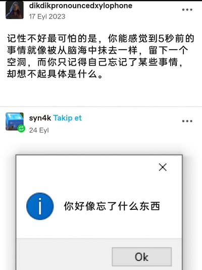 这是两张土耳其社交平台的截图拼接内容：上方是用户dikdikpronouncedxylophone在2023年9月17日发布的吐槽，精准描述了记性不好的痛苦——刚发生5秒的事就彻底遗忘，只残留“自己忘了事”的模糊感觉，却想不起具体内容；下方是用户syn4k在9月24日转发该内容时搭配的系统提示框样式弹窗，弹窗内容为“你好像忘了什么东西”，用这种形式巧妙呼应了上方的健忘吐槽，形成了极具共鸣感的网络梗，精准戳中了有健忘经历的人的情绪。