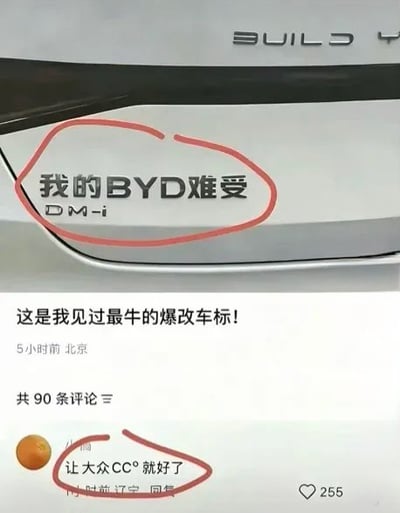 这张图是社交平台内容截图，整体分为上下两部分：上半部分为比亚迪DM-i车型的尾部实拍，车主将车尾的品牌标识改装为“我的BYD难受”字样，该改装区域被红色圆圈特意标注；下半部分是该内容的社交平台发布页，发布者配文称“这是我见过最牛的爆改车标！”，显示发布于5小时前、IP属地北京，下方一条获赞255的网友评论写着“让大众CC°就好了”，该评论同样被红圈标注，两处内容都利用谐音玩梗，趣味性较强。