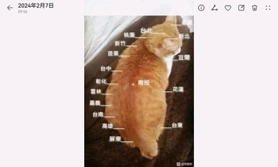 这是一张充满趣味的创意改编图，创作者将一只侧躺的橘猫的身体轮廓与台湾地区的地理形状进行类比，在猫的不同身体部位标注了对应的台湾地区县市名称：猫的头部区域标注了基隆、台北、新北、桃园、宜兰等北部县市；猫的背部从前往后依次标注了新竹、苗栗、台中、彰化、南投、云林、嘉义、台南、高雄、屏东等中南部县市；猫的腹部区域则标注了花莲、台东两个东部县市。通过这种生动的类比，将原本严肃的地理分布转化为诙谐有趣的内容，让观者能以轻松的方式对应记忆相关地理区域的位置。