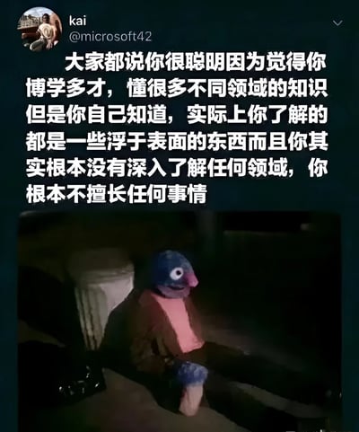 这是一张社交媒体截图，用户名为kai（@microsoft42）的帖子内容为：“大家都说你很聪明因为觉得你博学多才，懂很多不同领域的知识但是你自己知道，实际上你了解的都是一些浮于表面的东西而且你其实根本没有深入了解任何领域，你根本不擅长任何事情”。图片下方配有一张人物照片，该人物戴着蓝色鸟形头套，身穿棕色外套和粉色内搭，坐在昏暗的环境中（疑似车内或室内），表情显得无奈且落寞，完美呼应了文字中描述的“他人评价与自我认知的反差”这一主题。整体通过自嘲的方式表达了许多人可能存在的“表面博学实则不精”的自我怀疑情绪。