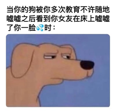 上方文字描述了一个搞笑场景：狗狗被多次教育不许随地大小便后，却目睹女友在床上对主人“嘘嘘”一脸的荒诞情节。下方配图是一只卡通狗的侧脸特写，它眉头微蹙，眼神斜视，表情充满困惑与不解，仿佛在质疑这种“双重标准”。