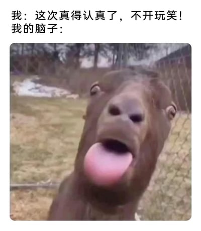 这是一张贴合日常状态的搞笑图文梗图，上方文字分为两部分，“我”表示自己下定决心要认真做事，绝不松懈，而“我的脑子”则用一张经过P图改编的动物图片来呈现：动物的眼睛错位分布，大舌头伸出，表情滑稽荒诞，精准地营造出一种脑子完全不在状态、涣散无厘头的反差感，用幽默的方式调侃了人们在生活中常常出现的“想认真却心不在焉、脑子不听使唤”的情况，容易引发大众共鸣。