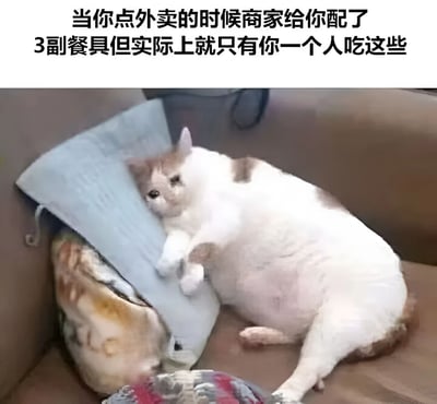 图片上方配有文字‘当你点外卖的时候商家给你配了3副餐具但实际上就只有你一个人吃这些’，下方是一只体型肥胖的灰白相间猫咪，正躺在沙发上，身体靠着一个浅蓝色的枕头，眼神看起来有些困惑和茫然，形象地表达了独自一人点外卖却收到多余餐具时的无奈又好笑的心情。