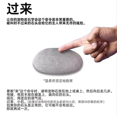 这是一张以荒诞搞笑为核心的图文内容，模仿专业宠物训练手册的形式，一本正经地教授用户训练「宠物石头」执行「过来」的指令。图中展示了一只手用食指指向一块灰色鹅卵石，搭配详细的训练步骤文字：先将石头放置好后后退几步，弯腰面向石头，用坚定语气喊石头的名字指令它过来，还调侃正常的石头不会有反应，需要重复尝试。用严肃的教程包装无意义的行为，通过这种反差制造出荒诞搞笑的效果，没有双关或谐音梗，纯靠无厘头的内容博人一笑。