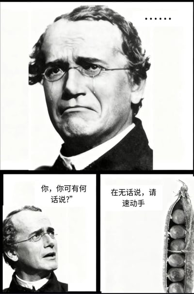 该图为三格连环梗图。上格是戴眼镜男子的黑白特写，他眉头紧锁，左眼垂泪，神情悲伤；左下格中男子侧脸仰视，配文“你，你可有何话说?”；右下格是一颗饱满的豌豆荚，配文“在无话说，请速动手”。整体通过人物与豌豆荚的对话，戏仿“苦命鸳鸯”梗中悲剧恋人对峙的经典场景，用日常食材替换角色制造荒诞幽默感。