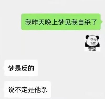 图片为聊天对话式表情包，上方绿色气泡显示“我昨天晚上梦见我自杀了”，右侧配有经典熊猫头“苦涩”表情。下方两个白色气泡依次回复“梦是反的”和“说不定是他杀”，通过“梦是反的”这一传统解梦说法进行意外反转，制造黑色幽默效果。