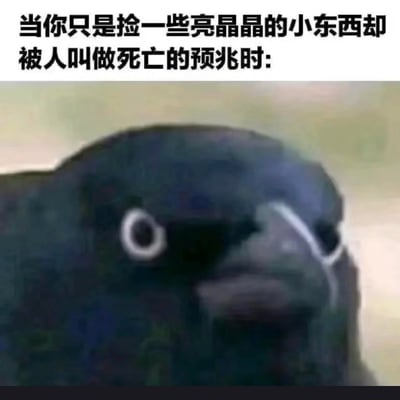 这是一张搞笑图文梗图，上方配有白色背景的黑色文字：“当你只是捡一些亮晶晶的小东西却被人叫做死亡的预兆时:”，下方是一只深色乌鸦的特写，它的眼角挂着一道白色的“泪水”，表情看起来十分委屈。这张图利用大众对乌鸦的刻板印象——认为乌鸦是死亡的预兆，而乌鸦本身有收集闪亮物品的习性，通过乌鸦委屈的神态和配文的反差，幽默地表达了正常行为被误解的无奈与委屈情绪，引发共鸣。