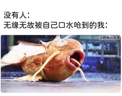 这是一张用于调侃日常小尴尬的搞笑梗图，图中上方配有两行文字，第一行是“没有人：”，表示没有任何外界因素触发，第二行是“无缘无故被自己口水呛到的我：”，引出下方的画面。下方是《宝可梦》系列中的鲤鱼王的3D形象，它躺在平面上，眼睛瞪大，嘴巴大张，身体姿态十分狼狈，完美还原了人被自己口水呛到时那种突然的、难受又滑稽的状态，通过夸张的动漫形象放大了日常里的小窘境，极易引发网友的共鸣，适合在社交平台用来表达自己遇到这类尴尬瞬间的心情。