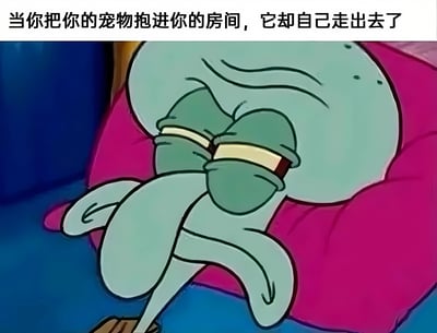 图片上方配有文字'当你把你的宠物抱进你的房间，它却自己走出去了'，下方是《海绵宝宝》中的角色章鱼哥，他双眼紧闭，身体蜷缩在粉色的枕头上，呈现出一种无奈又失落的姿态，仿佛在生动演绎宠物离开后主人的沮丧心情。