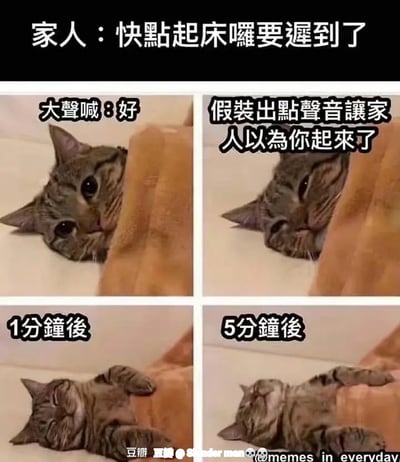这是一张四宫格的猫咪梗图，主题围绕家人催促起床但本人想继续赖床的搞笑日常。图中猫咪睁着惺忪的眼睛，第一格回应大声“好”，第二格装作起床的样子，实际意图让家人误以为已经起了，后三格则展示猫咪依然安然躺床上偷懒的状态。文字对话极具台湾风格，配合猫咪表情，既有共鸣又充满幽默感，戳中了网友日常生活中“假装听话实际偷懒”的心理。 此外没有谐音梗，但图片通过猫咪行动与文字的反差展现了好笑的双关——身体很诚实（继续躺）。