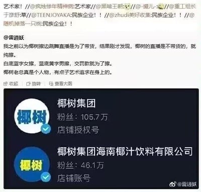 社交媒体截图内容，包含用户@雷逍妖对椰树集团直播的讨论：原以为跳舞直播是为带货，实则不带货纯‘擦边’，提及‘白蓝黄字女模，蓝底黄字男模，交罚款就为了擦边’，并评价椰树老总‘有艺术追求’。下方附椰树集团两个官方账号截图，分别显示粉丝105.7万（店铺授权号）和46.1万（店铺账号）。整体内容围绕椰树集团直播风格争议及账号信息展开。