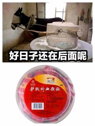 这是一张上下拼接的黑色幽默玩梗图，上图为实拍场景：一头蒙着眼睛的黑驴正在拉动石磨，图上叠加了醒目的白色文字“好日子还在后面呢”；下图展示了九芝堂驴胶补血颗粒的药品外包装，图通过字面关联制造反差笑点：拉磨的驴被暗示“好日子还在未来”，实际它最终会被做成驴胶补血产品，用反差感形成调侃搞笑的效果。