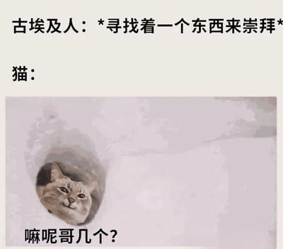 图片上方文字为“古埃及人：*寻找着一个东西来崇拜*”，下方紧接着“猫：”，中间是一张真实猫咪从圆形洞口探出头的照片，猫咪表情平静，眼神略带好奇地向上看，照片底部配有文字“嘛呢哥几个?”。整体通过古埃及人寻找崇拜对象的设定与猫咪接地气的口语化回应形成幽默反差，营造出轻松搞笑的效果。