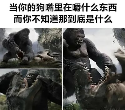 暂无描述