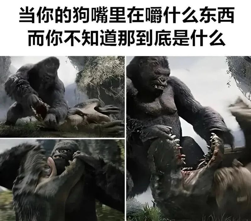 金刚
