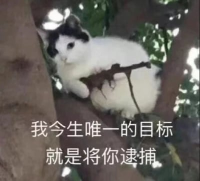 图片中一只黑白相间的兔子正坐在树枝上，爪子紧紧抓住树枝，背景是茂密的绿叶和透过树叶的阳光。图片底部配有白色文字：“我今生唯一的目标就是将你逮捕”。可爱的兔子形象与严肃的“逮捕”宣言形成强烈反差，营造出幽默搞笑的效果。