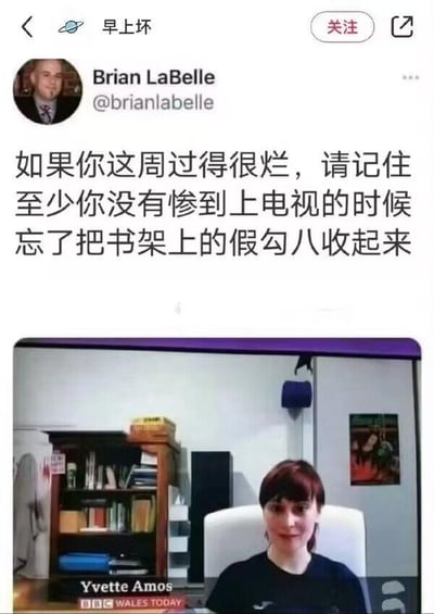 这是一张社交媒体截图，内容为用户Brian LaBelle的帖子。帖子文字以幽默方式安慰他人：'如果你这周过得很烂，请记住至少你没有惨到上电视的时候忘了把书架上的假勾八收起来'，配图是BBC Wales Today电视节目的截图，显示人物Yvette Amos坐在书架前接受采访，书架上疑似有未收起的假阳具。通过夸张对比制造笑点，缓解糟糕情绪。