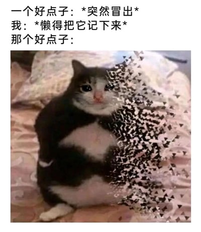 这是一张极具共鸣感的搞笑梗图，通过文字加图像的形式调侃日常健忘的经历：上方文字分为三部分，先是描述好点子突然灵光一闪出现，接着表明自己因为懒惰没有把这个好点子记录下来，最后用一只半边身体像素化破碎、表情委屈失落的黑白胖猫，来具象化表现好点子因为没被记录而迅速消失的状态，精准戳中了很多人有过的“灵光一闪却没记录，随后彻底遗忘”的日常瞬间，充满趣味与生活感。