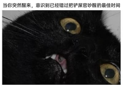 这是一张趣味宠物表情包，图片主体是一只黑色猫咪，它眼睛圆睁，嘴巴微张，露出部分牙齿和舌头，表情呈现出震惊又懊恼的状态，仿佛刚从睡梦中惊醒。图片顶部配有文字“当你突然醒来，意识到已经错过把铲屎官吵醒的最佳时间”，以猫咪的视角，生动还原了养猫生活里猫咪总想叫醒主人要饭、玩耍，却不小心睡过头错过时机的搞笑场景，精准戳中养猫人群的日常趣味点，整体风格诙谐幽默，充满生活气息。