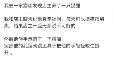 网友分享在猫咖的有趣经历：本以为店主能天天撸猫到爽，却发现店主养的狐狸会“吃醋”——当店主伸手示范撸猫时，狐狸跳上凳子轻咬并拽开他的手，让店主一脸无奈。