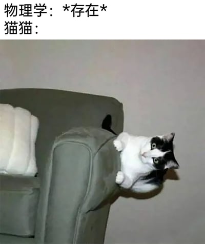 这是一张趣味玩梗的静态图，图上方配有文字“物理学：*存在* 猫猫：”，图中的黑白猫咪以违背常规物理常识的视觉错位姿态呈现：猫咪的前爪搭在沙发扶手上，身体与扶手的位置关系看起来像是它“穿过”了扶手，形成了明显的视觉错觉。猫咪眼睛圆睁，一脸疑惑地看向镜头，配合文字玩梗，调侃猫咪总是做出不符合物理规律的反常动作，仿佛完全无视物理学的存在，制造出幽默搞笑的效果。