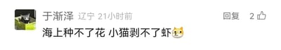 这是一张社交媒体的评论截图，发布者是来自辽宁的用户“于渐泽”，发布时间标注为21小时前，该评论获得了2个点赞，右侧设有“回复”按钮。发布者的头像是一只待在绿色盒子里的小猫，评论内容为“海上种不了花 小猫剥不了虾”，末尾搭配了一个斜眼笑的猫咪表情。这句话陈述了两个符合常识的无法实现的场景，风格轻松随性，属于用户的日常网络发言，没有双关、谐音梗或其他隐含含义。