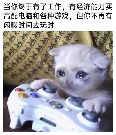 这是一张引发职场游戏爱好者共鸣的扎心梗图，图上方配有精准戳中现实的文字：“当你终于有了工作，有经济能力买高配电脑和各种游戏，但你不再有闲暇时间去玩时”。画面主体是一只被修改过表情的小猫，它眼眶含泪，满脸委屈心酸，两只爪子搭在游戏手柄上，做出想要玩游戏的姿态，却因为没有时间而充满无奈。这张图生动地表现了很多人的成长落差：年少时渴望玩游戏却没有经济条件，当步入职场有能力购买高配设备和游戏后，却被工作占据了全部闲暇时间，再也无法尽情享受游戏的快乐，这种无奈与遗憾通过小猫的神态被放大，极易引发网友的情感共鸣。