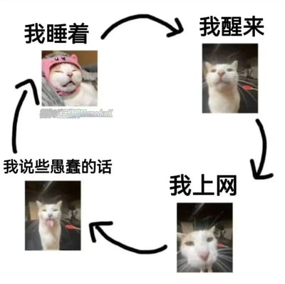 这是一张由四张傻脸猫表情包拼接而成的循环梗图，通过黑色箭头串联起四个状态形成闭环：戴着粉色帽子的猫咪满足熟睡对应“我睡着”，一脸茫然的猫咪对应“我醒来”，凑近屏幕眼神呆滞的猫咪对应“我上网”，吐舌头犯傻的猫咪对应“我说些愚蠢的话”，生动精准地调侃了当代很多网友重复、无厘头的日常状态，容易引发共鸣。