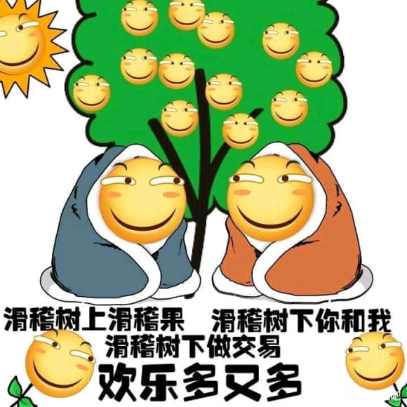 滑稽树与树下的我们