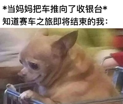 这张梗图上方有两行文字：“*当妈妈把车推向了收银台* 知道赛车之旅即将结束的我：”，下方是一只棕色的吉娃娃狗坐在购物车里，前爪搭在购物车栏杆上，侧着头，表情看起来有些失落和不舍。图片通过拟人化的手法，把孩子坐在购物车里被推到收银台时，觉得有趣的“赛车之旅”即将结束的失落感，用小狗的表情生动地展现出来，形成幽默效果。