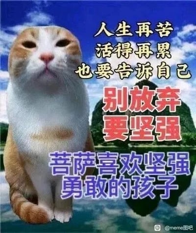 这是一张P图改编的静态单图，属于顶配底文图与图文混排的表情素材图。图中主体是一只橘白相间的猫咪，它端正坐着，前爪并拢，眼神半眯，神情疲惫又带着一丝强撑的坚毅，仿佛在疲惫中硬扛着坚强。背景是蓝天、水面与远山的风景图。图中搭配了多段励志鸡汤文字，从上到下依次为“人生再苦 活得再累 也要告诉自己”“别放弃 要坚强”“菩萨喜欢坚强勇敢的孩子”，文字使用不同颜色与字号呈现，整体营造出一种在疲惫生活中自我鼓励、给自己打气的氛围，适合用来在社交媒体上传递治愈感与励志情绪，缓解生活压力。