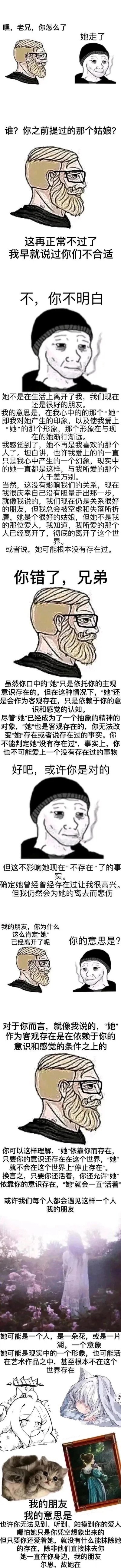 这是一幅竖版连环漫画，采用Wojak（Feels Guy）风格的卡通角色展开对话，讲述了一位戴针织帽的男子向留胡子的朋友倾诉内心的失落：他并非与现实中的女性朋友决裂，而是自己心中构建的、让他产生爱意的那个“她”的形象，在与现实中的对方相处过程中渐渐模糊消逝，因此被空虚和失落折磨。朋友则从主观意识与存在的角度开导他，指出这个心中的形象依托他的意识存在，属于客观存在的精神对象，只要他还在意，这个形象就不会真正“消失”。最后内容延伸到我们所珍视的对象可以是任何人、事物甚至虚构形象，只要还保有爱意，对方就一直“存在”于身边。漫画后半段还搭配了风景、动漫角色、猫咪、画像等意象图，呼应所表达的主题。