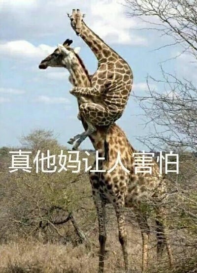 暂无描述