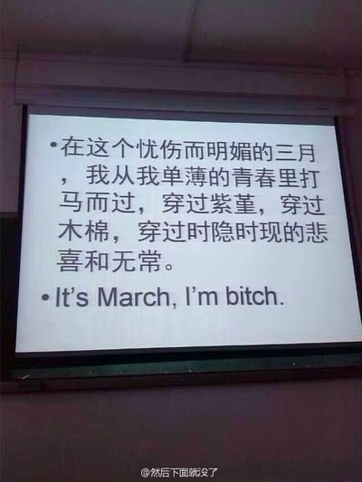 图片展示了一个投影屏幕，上面有两段形成鲜明对比的文字。第一段是文艺风格的中文文字："在这个忧伤而明媚的三月，我从我单薄的青春里打马而过，穿过紫堇，穿过木棉，穿过时隐时现的悲喜和无常。"，第二段则是非常口语化且粗俗的英文翻译："It's March, I'm bitch."。这种高雅文学与低俗翻译的强烈反差产生了幽默效果。