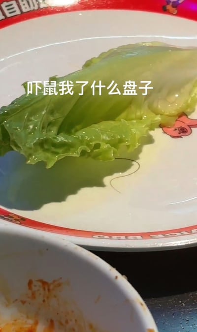 画面是一张餐盘，盘子里放着一片生菜叶和一根明显的鼠须。图片上用大字写着“吓鼠我了什么盘子”，用的是谐音梗，“吓鼠”=“吓死”。这句话配合发现鼠须的餐盘场景，表达了发现异物后的震惊和恶心。

梗图含有明显的谐音梗（吓鼠=吓死）、生活吐槽色彩，适用于餐饮卫生相关的吐槽场景。