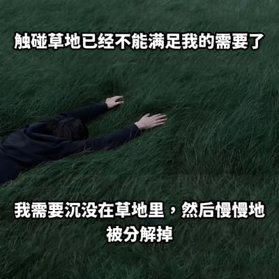 图片中一个穿着黑色连帽衫的人趴在茂密的绿色草地上，头部埋在草丛中，双臂向前伸展。图片上方有文字“触碰草地已经不能满足我的需要了”，下方有文字“我需要沉没在草地里，然后慢慢地被分解掉”。这张图通过夸张的表达方式，以黑色幽默的方式表达了一种极度疲惫、想要逃避现实的情绪。