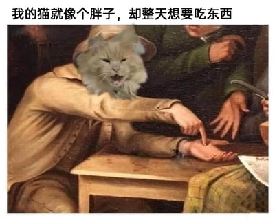 这是一张充满趣味的P图改编作品，创作者将一只表情急切、大张着嘴的胖橘猫的脸部，替换进一幅古典写实油画中人物的头部位置。油画人物的身体做出一只手指向自己摊开的手掌的动作，仿佛在索要东西，搭配图片上方的文字“我的猫就像个胖子，却整天想要吃东西”，用拟人的手法，生动又幽默地展现出胖猫即便已经很胖，却依然时刻想要进食的贪吃状态，精准戳中养猫人对自家贪吃猫咪的吐槽点，充满生活趣味。