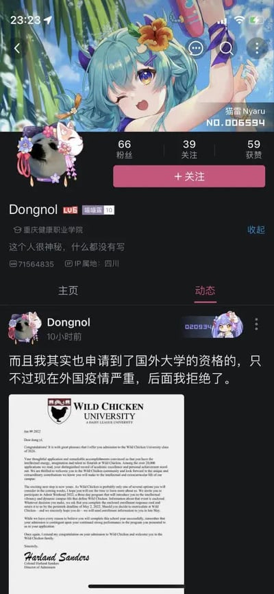 该图片为某社交平台用户“Dongnol”的个人主页截图，顶部显示动漫风格头像（蓝发女性角色，头戴花朵， wink表情，手持粉色物品），用户信息栏显示粉丝66、关注39、获赞59，IP属地四川，所属机构为“重庆健康职业学院”，个性签名为“这个人很神秘，什么都没有写”。主页动态区展示一条10小时前发布的内容，文字称“而且我其实也申请到了国外大学的资格的，只不过现在国外疫情严重，后面我拒绝了”，并附带一张伪造的“WILD CHICKEN UNIVERSITY”（野鸡大学）录取通知书，落款为“Harland Sanders”（疑似调侃肯德基上校）。整体内容以幽默调侃的方式虚构留学经历，具有搞笑娱乐性质。