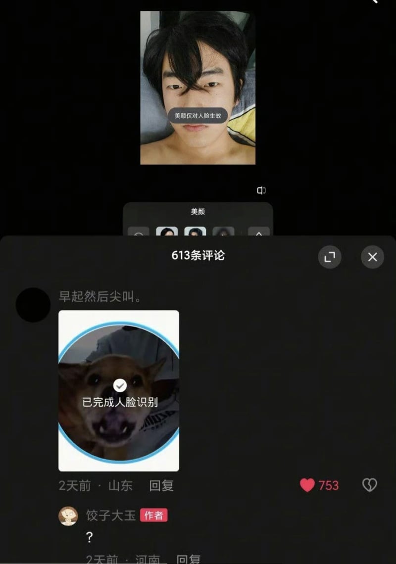 国内短视频社交平台普通用户