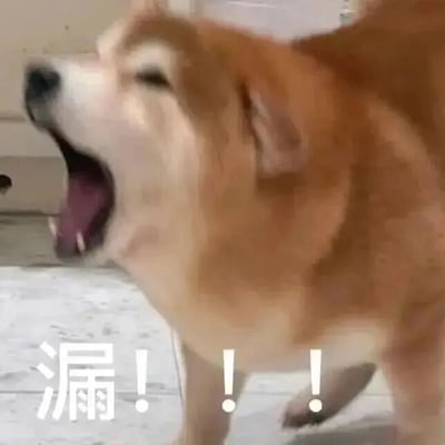 这是一张文字加注的静态宠物表情包，图中是一只棕白相间的柴犬，它眼睛紧闭，头部扬起，嘴巴大张，呈现出激动咆哮的状态。图片下方配有醒目的白色文字“漏！！！”，其中“漏”是英文“NO”的谐音，是网络上流行的用来表达强烈拒绝的说法，结合柴犬激动的神态，放大了拒绝的情绪，让整个表情包的情绪感染力更强，非常适合在网络聊天中用来表达对某事的强烈否定、拒绝态度。