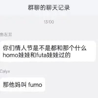 这是一张竖屏格式的群聊聊天记录截图，属于纯文字类内容。在13:00的群聊对话中，用户“鱼左见”将东方Project的周边娃娃“fumo”误说成“homo娃娃和futa娃娃”，调侃群友情人节和这类娃娃过节，用户“Calyx”则纠正“那他妈叫fumo”，对话充满ACG圈玩梗的趣味，是对谐音误解的搞笑回应。