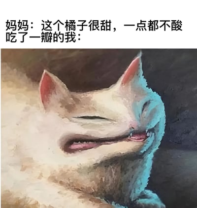 图片上方为文字对话：'妈妈：这个橘子很甜，一点都不酸 吃了一瓣的我：'，下方是一只表情扭曲的猫，眼睛紧闭，嘴巴咧开，似乎在忍受某种强烈的味道，用幽默的方式表现出实际吃到的橘子很酸，与妈妈的描述形成反差。