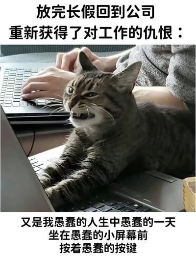 图片上方配有文字“放完长假回到公司 重新获得了对工作的仇恨：”，中间是一只虎斑猫趴在笔记本电脑键盘上，表情愤怒，露出牙齿，背景中可见有人的手在打字。图片下方文字为“又是我愚蠢的人生中愚蠢的一天 坐在愚蠢的小屏幕前 按着愚蠢的按键”，整体通过猫咪的愤怒表情和直白的文字，幽默地表达了人们节后返工对工作的抵触情绪。