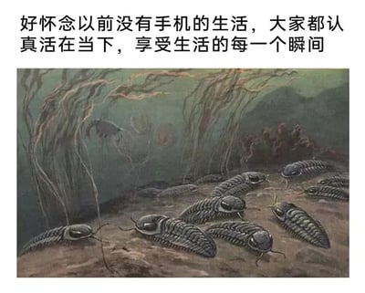图片上方配有文字“好怀念以前没有手机的生活，大家都认真活在当下，享受生活的每一个瞬间”，表达对无手机时代的怀旧情绪。下方则是一幅描绘史前海底场景的插画，画面中有大量三叶虫（已灭绝的远古节肢动物）聚集在海底，周围有类似海藻的水生植物。文字的怀旧感与三叶虫这一远古生物形象形成强烈反差，通过将“没有手机的生活”幽默地关联到人类出现前的史前时代，暗讽过度美化过去的心态，带有讽刺和搞笑的效果。