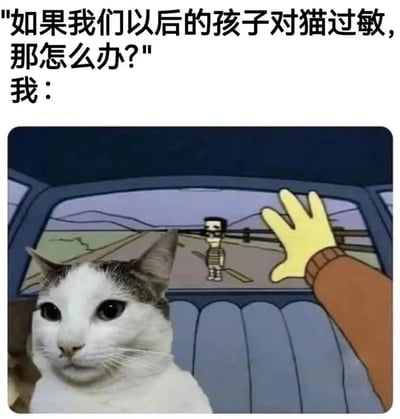 图片上方文字提出假设性问题：“如果我们以后的孩子对猫过敏，那怎么办？”，下方配图中一只猫平静地坐在汽车后座，车窗外有一个卡通人物被留在路边，暗示“我”的选择是优先保留猫而“放弃”孩子。通过夸张的对比制造幽默效果，展现宠物在主人心中的重要地位。