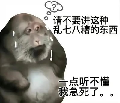 图中是一只表情困惑、无助的小猴子，脸上流着两行泪，头上有一个问号的思考气泡，配以大号中文标语字体：“请不要讲这种乱七八糟的东西，一点听不懂，我急死了。。”整体画风搞笑无厘头，强烈表现出面对复杂难懂内容时的抓狂、迷惑和焦虑。经常被用来吐槽听不懂别人的发言，或表达听众被信息轰炸时的崩溃心情。

没有明显的双关、谐音梗或暗示。这里“急死了”是一种夸张表达焦急心情的网络语气，没有不良引申。