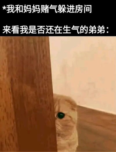 图片上方有两行文字：'*我和妈妈赌气躲进房间'和'来看我是否还在生气的弟弟：'，下方是一只浅色猫咪从木门后探出脑袋，绿色的眼睛好奇地望向镜头，仿佛在小心翼翼地观察躲在房间里赌气的人。整体场景通过猫咪的可爱动作，幽默地表现了弟弟关心又不敢直接打扰的样子，充满家庭生活气息。