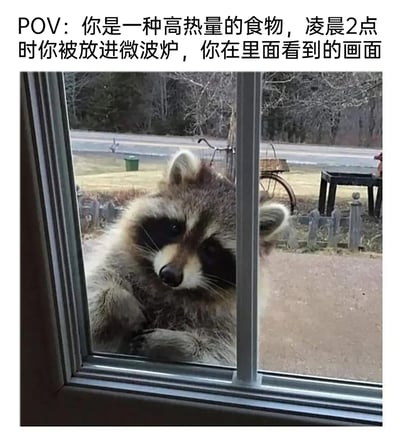 这是一张文字加注的梗图，上方配文设定了特殊视角：“你是被放进微波炉的高热量食物，凌晨2点在里面看到的画面”，图中一只浣熊扒着玻璃窗，眼神专注又带着急切感，仿佛就是那个深夜渴望高热量食物、紧盯着微波炉的人。用浣熊的形象代指深夜嘴馋的人，生动有趣，精准戳中了很多人深夜想吃东西的共鸣。
