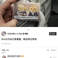这是一张来自抖音平台的社交媒体截图，截图内的核心内容是一张经过P图改编的证件照：证件照上两人的脸部被替换成表情严肃的猫脸，搭配文字“Bro以为自己是鹰，就这样过安检”，玩了“鹰”与“英”的谐音梗，结合评论区的“鹰语到底不回啊”，进一步放大了谐音梗的搞笑效果，整体风格戏谑荒诞，适合在社交平台用于玩梗互动。